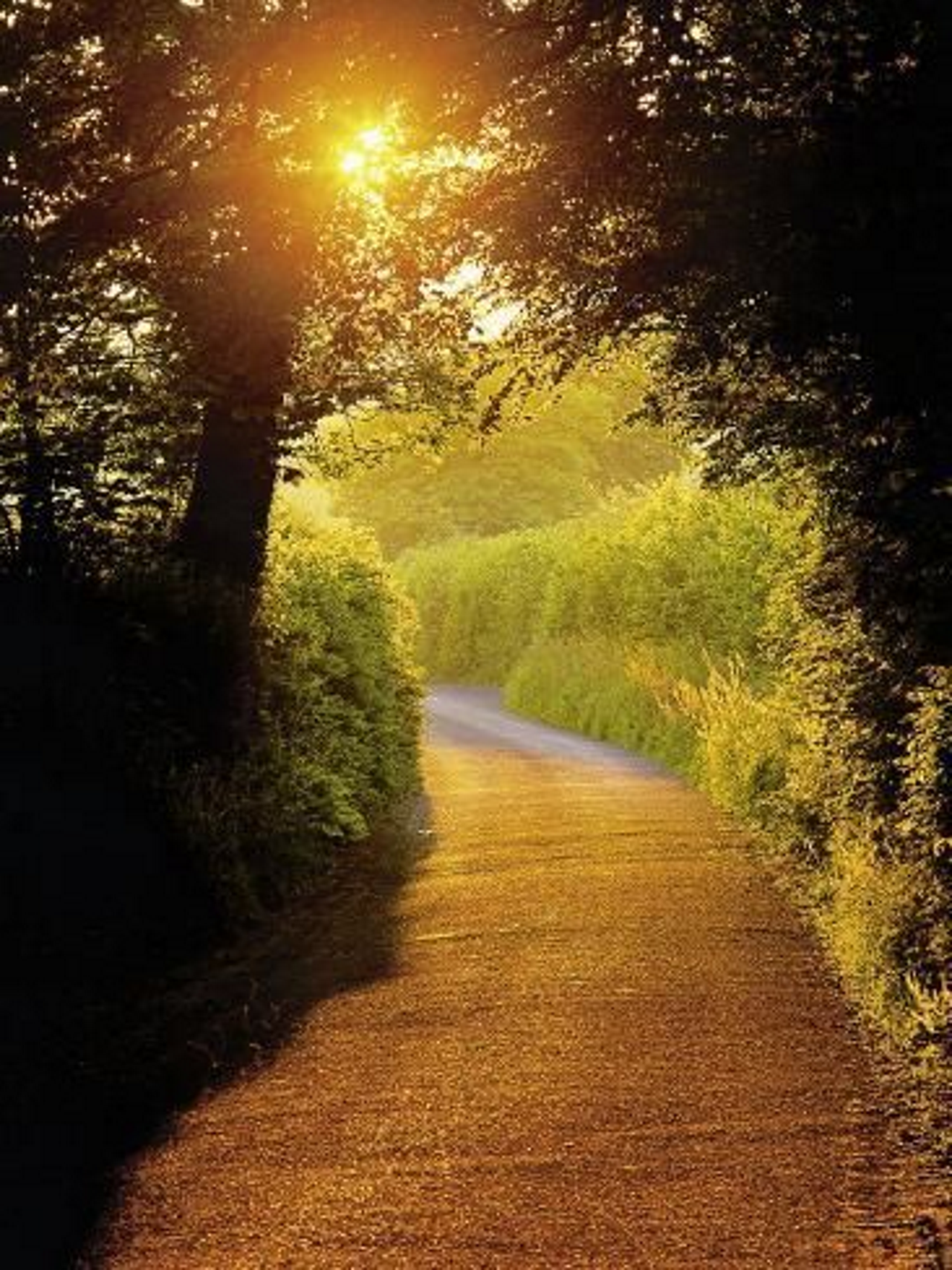 Daily image of a road that might go over the hill